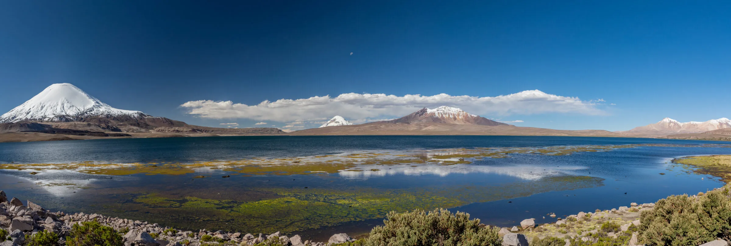 En este momento estás viendo ¡Altiplano en peligro! El territorio que muchos codician y que pocos están cuidando